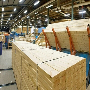 Troncos/madera de pino cruda de Bélgica al mejor precio y alta calidad en venta al mejor precio 100% - Product Image 6