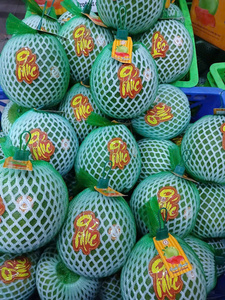 ส้มโอน้ำปริมาณมากสำหรับผู้นำเข้าและบริษัทขายส่ง - Product Image 6