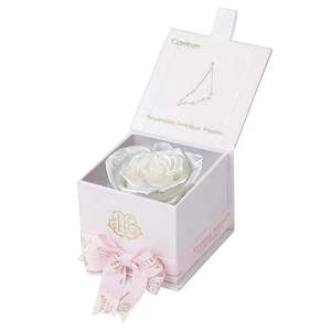Astor Collection CAPRICORN Gift Box by Eternal Rose for Valentine's Day - Product Image 1