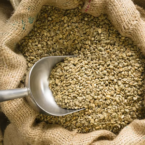 Specialty Arabica <b>Green</b> Coffee <b>Beans</b> Size 18 Grade A+ Vietnam Wholesale Bulk Export USDA Organic ISO 22000 Certifications 1000kg - Product Image 1