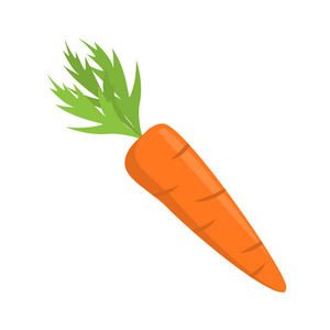 Proveedor de Verduras Frescas al Por Mayor al Precio Más Bajo, Zanahorias Naranjas con Entrega Rápida, Compre Zanahorias Naturales Frescas en Venta, Obtenga la Cosecha Más Reciente - Product Image 1