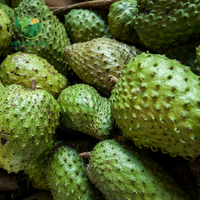 Premium Diepvrieszuurzak, 100% Natuurlijk Fruit Uit Vietnam, Beschikbaar Voor Export Tegen De Beste Prijs.