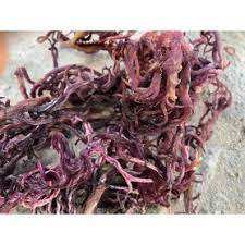 ¡VENTA CALIENTE 2025! SEAMOSS PURPLE PREMIUM DE VIETNAM-MEJOR PRECIO-PRODUCTO DE ALTA CALIDAD DE VIETNAM/Sra. Beatrix - Product Image 3