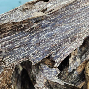 Natural Vietnam <b>Agarwood</b> - Unmatched Quality Oud for the Discerning User! - Product Image 1