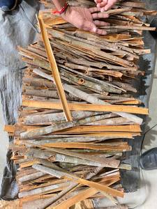 Primavera nueva cosecha de alta calidad orgánica Split Sticks canela ANNA DO + 84982153 al por mayor Vietnam Split Cassia hierbas especias crudas - Product Image 5