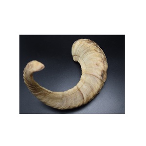 Corne de mouton véritable faite à la main, 100% artisanale, paires de cornes de mouton naturelles, produit solide poli de luxe, best-seller - Product Image 1