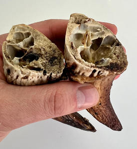 Rani Industries - Comida para Perros Hecha a Mano, Pulida, Personalizada, Cortada a Troquel y Impresa - Product Image 2