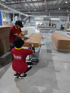 ประตู Dewoo ดีไซน์ทันสมัยพร้อมคุณสมบัติกันน้ําวัสดุคอมโพสิตสําหรับอาคารบ้านและสํานักงาน ภายในที่ถูกที่สุด - Product Image 4