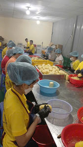 Ananas congelé en vrac propre et prêt à l'emploi Douceur naturelle Idéal pour les magasins et grossistes de boissons - Product Image 5