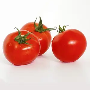 Premium Wholesale For Tomato Paste / Ketchup Tomato - Organic Tomato Can / Tomato Powder At Cheap Price