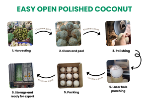 Open Top Polished Coconut Vietnam | Servicio fácil y rápido | Ideal para bebidas tropicales de moda de Corea - Product Image 6