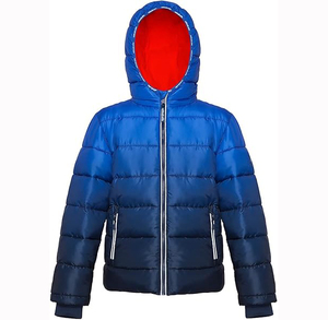 Veste d'hiver très vendue pour hommes pour les sports d'extérieur Veste matelassée mode OEM ODM de style rue principale - Product Image 1