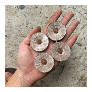 Granulés de tourbe de coco du Vietnam de qualité supérieure granulés de fibre de noix de coco en vrac moyen croissant fournisseur d'exportation en gros usine - Product Image 4