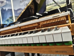 Piano de concierto Yamaha G2E de 88 teclas, instrumento profesional con tapa de abeto macizo de primera calidad, sonido rico y resonante 3850943 - Product Image 6