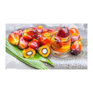 Huile de palme de qualité PURE Vente en gros Haut fabricant nouveau Meilleur matériel Avec des tarifs bon marché - Product Image 4