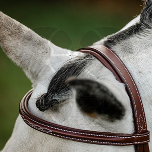 Customized High Quality PU Leather/Nylon <b>Horse</b> Bridle Classic Design Comfortable Noseband Browband Any Riding Style Custom - Product Image 6