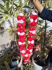 ดอกไม้ปลอมสำหรับงานแต่งงาน Varmala กุหลาบเจ้าสาวเจ้าบ่าวมาลาแพ็ค2ชิ้น - Product Image 6