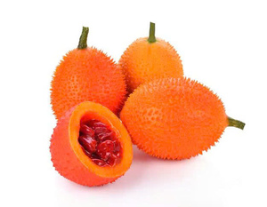 NATURAL FROZEN GAC <b>FRUIT</b> PUREE / PREMIUM QUALITY / BULK SUPPLY FOR EXPORT AND INDUSTRIAL USE - Product Image 1