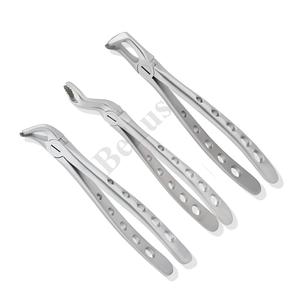 Fórceps de raíz de incisivo inferior estándar inglés profesional instrumento de extracción Dental personalizable herramienta quirúrgica de grado médico - Product Image 1