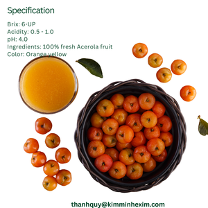 Purée d'acérola en vrac Confiture de saveur sucrée emballée en vrac de Kim Minh International - Product Image 2