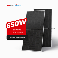 Module Photovoltaïque Bifacial Trina TSM-NEG19RC.20 625-650W, Cadre 30mm, Double Verre, Gain 10-20%, Meilleure Offre en Gros