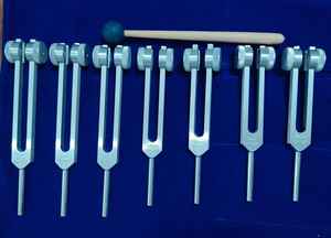 Nouvel ensemble de diapasons 4 pièces argentés 100 200 50 25 Hz pour la guérison, dans un étui en velours rouge - Product Image 4