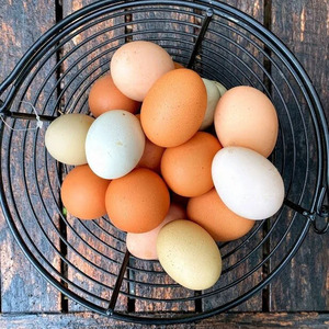 ไข่ไก่สดแบบตั้งโต๊ะสำหรับฟาร์มออร์แกนิกไข่ไก่สีน้ำตาลขาวเกรดสูง - Product Image 3