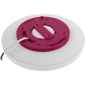 Plafoniera a LED bianca lampada rotonda Non dimmerabile per sala da pranzo camera da letto bagno cucina Hallway-6000K CCT IP44 AC fonte di alimentazione