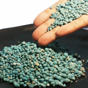 Fertilizante Compuesto Granular NPK 16-16-16 de Liberación Lenta a Precio de Fábrica para la Producción de Cultivos de Frutas y Verduras - Product Image 3