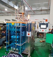 Machine automatique à 2 voies pour sachets à soufflet arrière de forme spéciale (camélia, huile d'olive), pour petits sachets, échantillons, pochettes cadeaux, facile à utiliser, pour emballage alimentaire en plastique