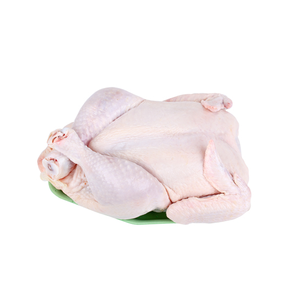 ไก่แช่แข็งฮาลาลคุณภาพรับรอง/ ปีกไก่แช่แข็ง/ ไก่ทั้งตัวแช่แข็ง - Product Image 6