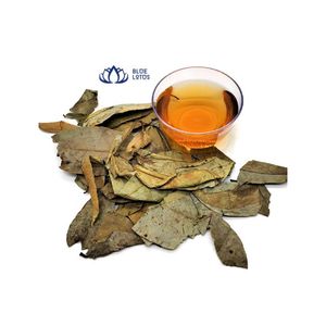 Soursop ออกจากเวียดนาม - Product Image 5