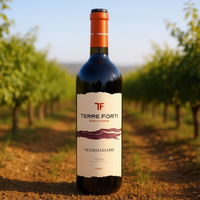 Vino Tinto Negroamaro Puglia IGT 750ml, Vino Apuliano Rico, 6 Botellas por Caja - Terre Forti