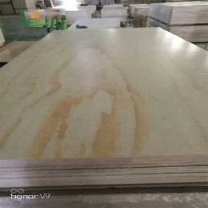 Contrachapado de Pino Radiata UV de Nueva Zelanda, Clasificación CARB P2, Envío al Mercado Norteamericano - Product Image 3