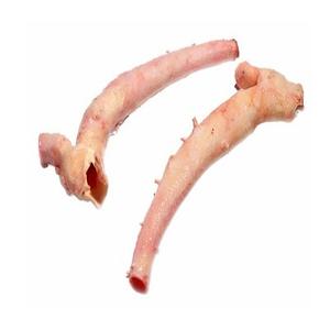 Best Factory Price Frozen Beef Aorta | Frozen Beef <b>Pizzle</b> | Halal Boneless Beef Meat Available - Product Image 3
