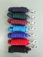 BLUHORSE BH-891 Corde de trelage en nylon solide avec mousqueton chromé en PP, laisse de cheval durable, longueur 2,5 m, diamètre 15 mm, emballage en boîte