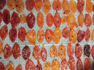 Tiras de fruta masticables-sabor líder de fruta de la pasión en mezcla - Product Image 5