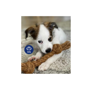 Jouet à mâcher en corde de coco naturelle BEST SELLING pour chiens avec bois de café - Product Image 5