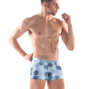 Ropa interior personalizada de fábrica para hombre, calzoncillos de bambú y algodón, bóxer de primera calidad, ropa interior transpirable para hombre, pantalones cortos, envío DDP - Product Image 2
