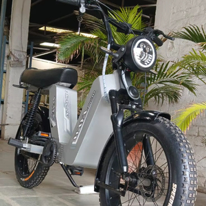 Marco de metal completo duradero Waya Zulu 350 Hybrid E Bike de largo alcance Unisex para la exportación del principal proveedor indio - Product Image 1