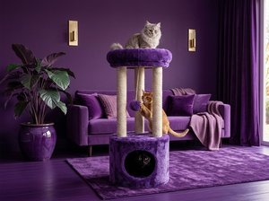 Torre para Gatos Atlanta Royal Purple con Comodidad Majestuosa - Product Image 6