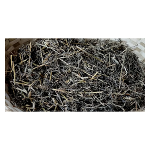 Mesona chinensis หญ้าเจลลี่ใบสำหรับระบายความร้อนธรรมชาติสมุนไพรเครื่องดื่มดีท็อกซ์และขนมหวานเพื่อสุขภาพ - Product Image 5