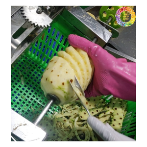 แหวน Ananas แช่แข็ง, iqf สับปะรดแช่แข็ง tidbits, ชิ้นลึกแช่แข็งราชินี/สับปะรด MD2ที่บรรจุภัณฑ์แบบกำหนดเอง - Product Image 4