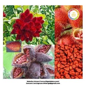 Graines d'annatto du Vietnam Pigment jaune rouge naturel à haute résistance de couleur pour usage alimentaire, cosmétique et industriel - Product Image 4