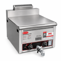 Friteuse à gaz de comptoir, machine à frire au gaz commerciale pour poulet frit, frites et snacks