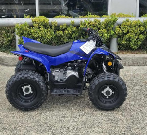 Motocicleta Todoterreno YFZ-50 2025 Nueva para Principiantes Jóvenes - Motor de 49cc y 4 Tiempos, Grado Industrial DIY ODM con 3 Años de Garantía - Product Image 2