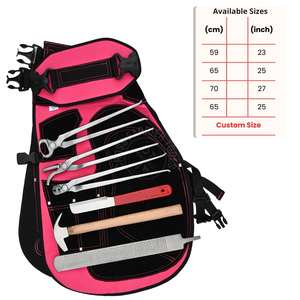 Ensemble d'outils de soin des sabots équestres, kit d'outils de maréchal-ferrant avec tablier de maréchal-ferrant rose, tire-chaussures argenté, râpe à sabots et marteau à clous, couteaux - Product Image 3
