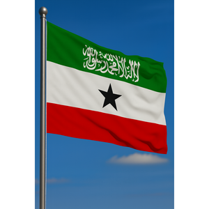 Custom Somaliland Outdoor <b>Flags</b> with Digital Printing Aluminum <b>Pole</b> & Durable Materials - Product Image 2