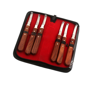 Juego de herramientas de herrador de acero inoxidable profesional de 6 piezas, Kit de cuidado de pezuñas de caballo duradero, instrumento veterinario equino, recortador de pezuñas - Product Image 5