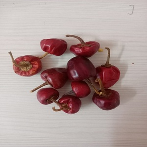 CHILE REDONDO PICANTE DE ORIGEN INDIO MARCA RGPL CON UN AÑO DE VALIDIDAD A LA VENTA por RADIANCE GLOBAL TRADERS - Product Image 5